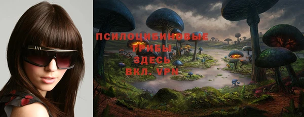 дурь Майский