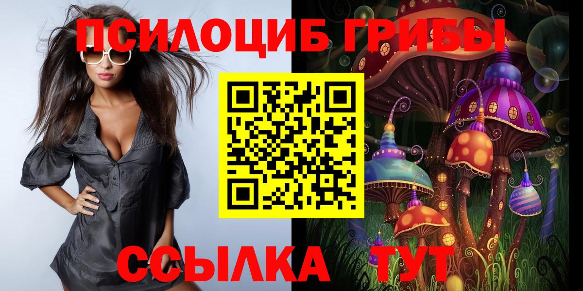 Коломна  Псилоцибиновые грибы MAGIC MUSHROOMS  Вход с VPN 